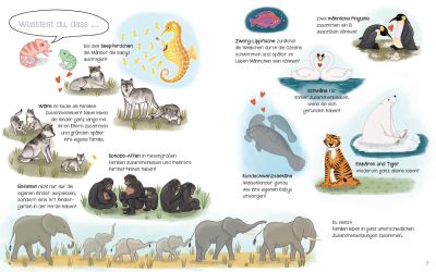 apiwebsitedatei6829068290_400x400